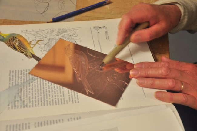 Belles plaques en cours d'élaboration