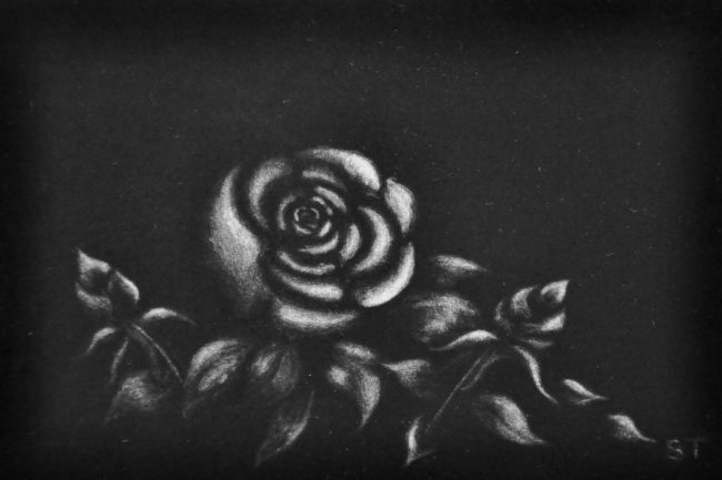 Serge Thimothée "Mignonne allons voir..."