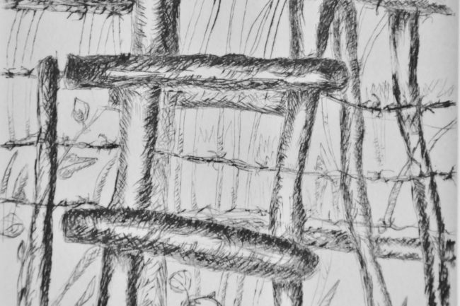 Marie-Françoise Tain "L'échalier"