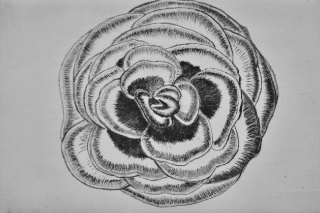  Sylvie Lours "Le plaisir de Sylvie"