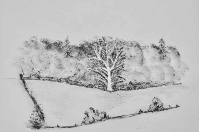 Yves Dubreil "L'arbre mort"