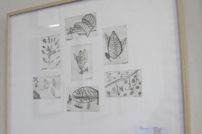 Tableau des gravures des CM1