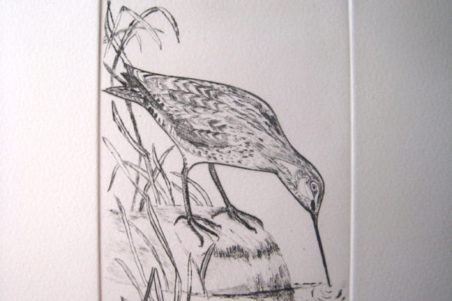 1er prix : bécassine extraordinaire