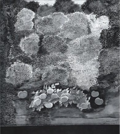 Fruits insolites Lavis 1982