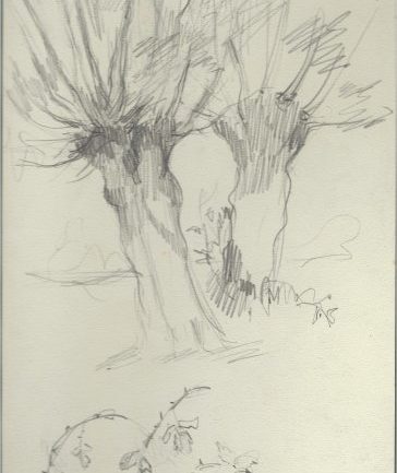 ronces et saules 1933