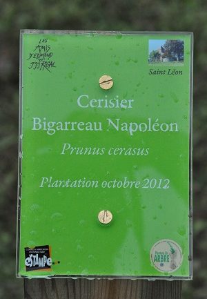 Plaque commémorative